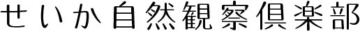 せいか自然観察倶楽部